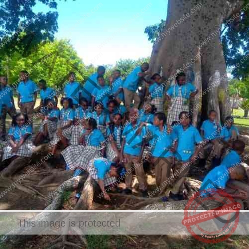 Little Bay Primary School Jamaica