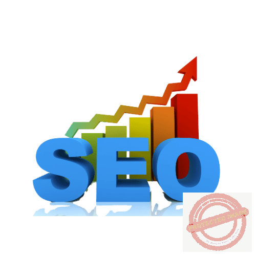 Why you need expert seo services